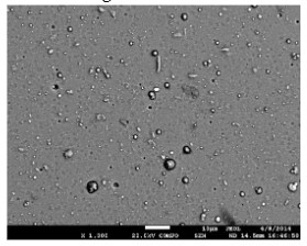 PVD hard coating deposited by Cathodic Arc Evaporation process